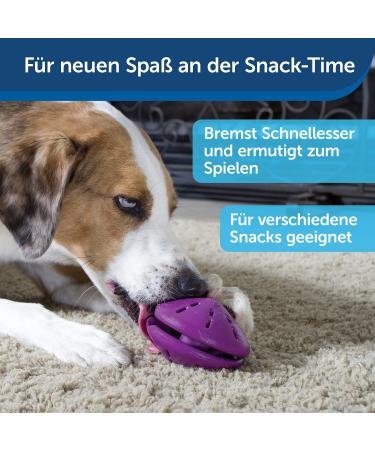 PetSafe Twist-n-Treat Dog Toy | Fillable Treat Toy | Customizable Dispensing & Dishwasher Safe | Purple L - Shop Now for International Shipping! - Buy Online on SooperMarket.com