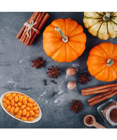 Jelly Belly Pumpkin Spice Jelly Beans Halloween Christmas Full Size 1-Pack 100g Candy Bags containing Pumpkin Pie Spice Kosher Candy Gluten Free Stocking Stuffers for Teens Holidays Bonbon Pumpkin Pie pack of 1 - Buy Online on SooperMarket.com