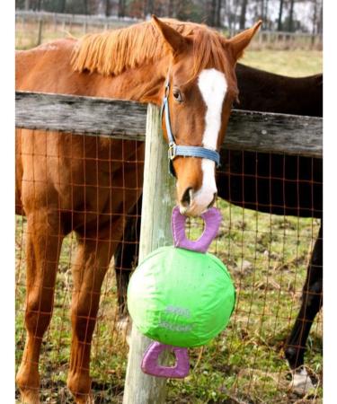 Signature Horsemen's Pride 14-Inch Horse Jolly Tug Blue one size - Buy Online on SooperMarket.com