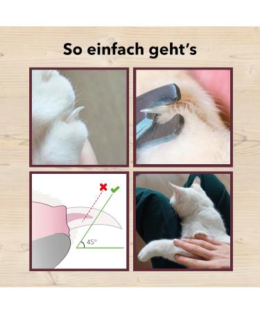 High-Quality Claw Scissors for Cats - Safe & Easy Nail Care for Beginners - International Shipping - Buy Online on SooperMarket.com