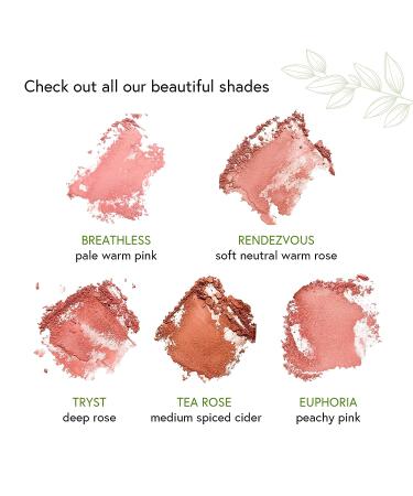 Honeybee Gardens Long-Wearing Complexion Perfecting Blush in Euphoria - Peach Pink (8.5g) | Vegan, Cruelty-Free, Gluten-Free - Even Skin Tone & Texture - Buy Online on SooperMarket.com