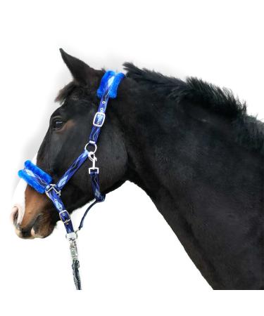 Halter for horses fur Halter Halfter fled Halter Blue in the sizes Xfull Halter Pony Cob Warmblood (cold blood (X-Full) blue) cold blood (X-Full) blue