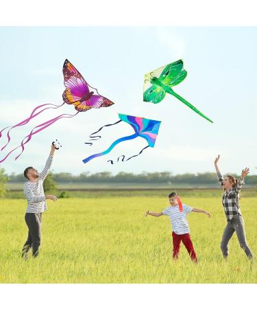 Crogift 3 Pack Large Kites - Butterfly Delta Dragonfly - Easy to Fly for Adults and Kids - Outdoor Game Activities - Easter and Festival Gifts - Buy Online on SooperMarket.com