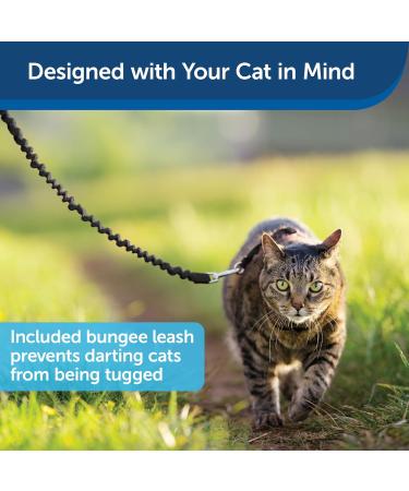 PetSafe Come with Me Kitty Harness & Bungee Leash - Adjustable Cat Harness for Large Cats | Black/Silver & Black/Beige - International Shipping Available - Buy Online on SooperMarket.com