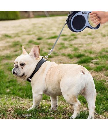 New Classic Retractable Dog Leash for Dogs up to 15kg - Ultra Strong 5m Belt with 360 Guiding & Braking - Black - International Shipping - Buy Online on SooperMarket.com