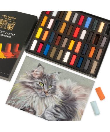 Paul Rubens Professional Soft Pastels  40 Portrait Colors Chalk Pastels Vibrant Smooth and High Adhesion for Painting  Drawing  Blending  Crafting  Ideal Art Supplies for Artists  Beginners 40 Colors