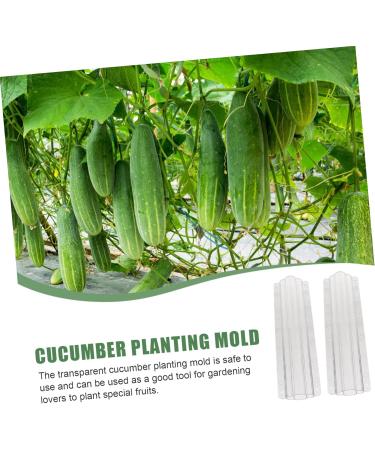 Milisten Garden Fruit Mould 2pcs Vegetable Shaping Mold Cucumbers Cucumber Shaping Mold Vegetable Shaper Mold Planting Supplies - Buy Online on SooperMarket.com