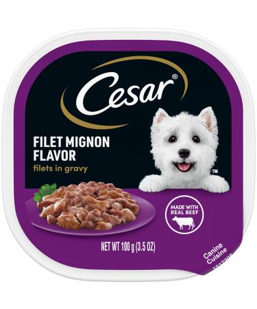 CESAR Gourmet Filets in Sauce Wet Dog Food, Pack of 24 Filet Mignon 3.5 Ounce (Pack of 24)