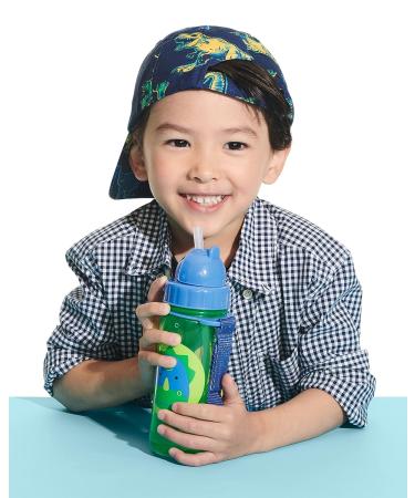 Skip Hop Dino Toddler Sippy Cup with Straw - 13 oz Zoo Straw Bottle - Buy Online on SooperMarket.com