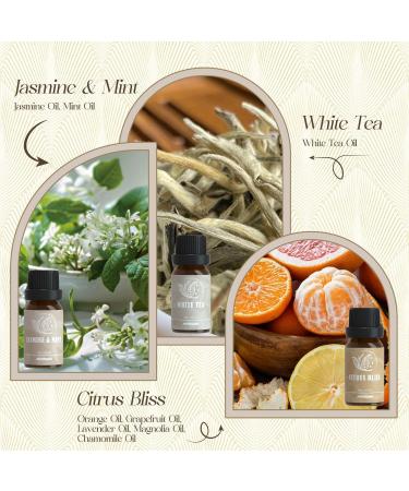 ARVIDSSON Hotel Fragrance Oils Premium Essential Oils Gift Set for Soap & Candle Making Luxury Hotel Scented Oil for Home Jasmine & Mint White Tea Luxury Night Citrus Bliss My Way Hotel Lobby - Buy Online on SooperMarket.com