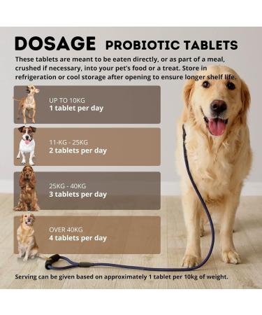 PetSupp Probiotics for Dogs Good Stomach & Gut Health 120 Probiotic Tablets Handy Re-Sealable Bag. - Buy Online on SooperMarket.com