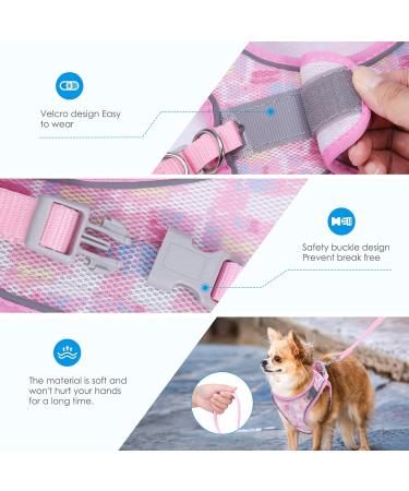 BriFit Cat Dishes with 150cm Leash - High Quality Breakfast Set for Cats & Small Dogs (Pink XS) - Perfect for Pets 6.61-1lb - Buy Online on SooperMarket.com