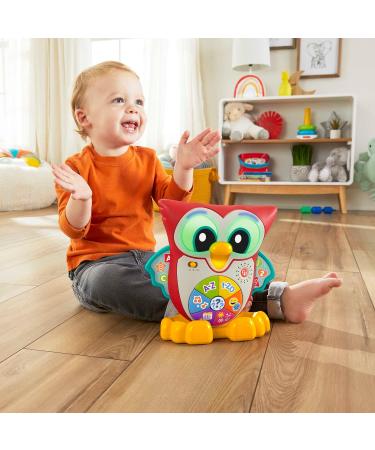 Fisher-Price Blinkilinkis Clever Owl German - Interactive Learning Toy for Babies 18+ Months with Music Lights & Melodies - Buy Online on SooperMarket.com