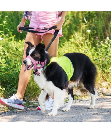 Adjustable Pink Dog Muzzle Halter for Strong Pulling - Weesiber Medium Size | No Pulling Leash Solutions - Buy Online on SooperMarket.com