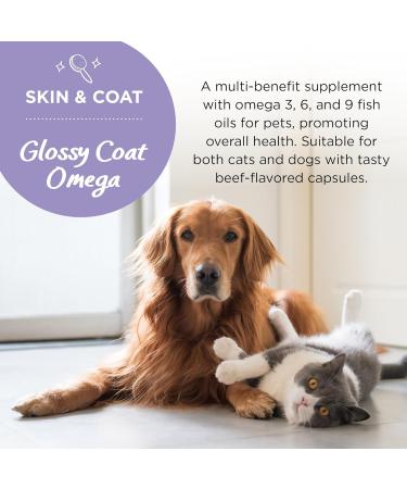 Healthspan Glossy Coat Omega 3 6 & 9 for Cats & Dogs 120 Capsules | DHA & EPA | Chicken & Beef Flavour | Pet Health Supplement - Buy Online on SooperMarket.com