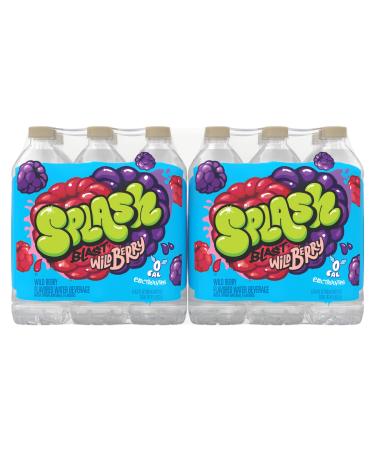 Splash Blast, Flavored Water Beverage, Wild Berry Flavor, 16.9 Fl Oz Plastic Bottles, 24 Pack,Clear,12184445