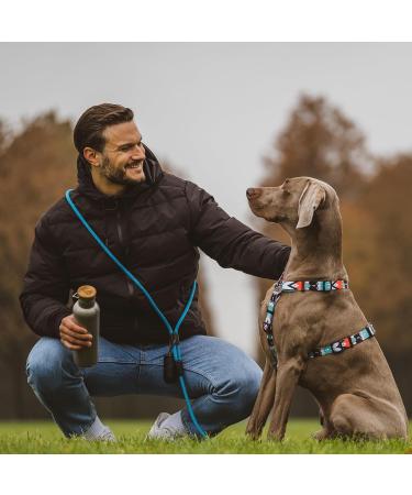 Hands-Free Dog Leash - 2m Adjustable Belly Belt for Running & Jogging | 3-in-1 Training & Hunting Leash for All Dog Sizes - Touline Petrol - Buy Online on SooperMarket.com