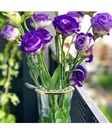 Lahoni Metal Flower Frog Lid 4.7 Inch Gold Floral Arranger Insert for Plant Fixation - Buy Online on SooperMarket.com