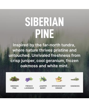 Buy Laundry Sauce Siberian Pine Dryer Sheets - Eco-Friendly Fabric Softener for Fresh Laundry | International Shipping - Buy Online on SooperMarket.com