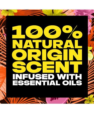 AXE Hawaiian Vibe Men's Aluminum-Free Deodorant Stick 2.6 oz, 4-Pack - 100% Natural Scent & Essential Oils - Buy Online on SooperMarket.com