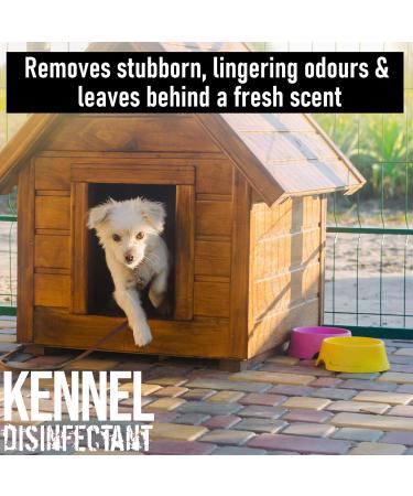 ULTIMA-PLUS XP Kennel Kleen 5L - Disinfectant Cleaner & Sanitiser with Bubblegum Fragrance - Concentrated for Kennels, Catteries & Hatches - Buy Online on SooperMarket.com
