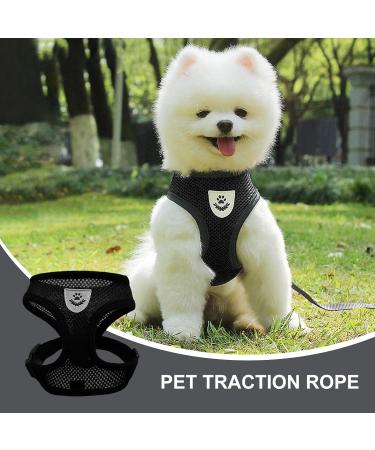 Buy Nizirioo Cat Harness & 2 Safe Cat Dishes - Stylish Black Set for Small Medium Pets - Buy Online on SooperMarket.com