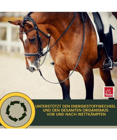 Premium Vitamin Paste for Horses | Amino Acids & Energy Booster | Muscle Regeneration & Performance | 3x30ml - Buy Online on SooperMarket.com