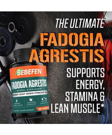 BEBEFEN Premium Fadogia Agrestis Supplement - 3750mg Per Serving with Horny Goat Weed & Tongkat Ali - Performance, Strength, Energy Support - 120 Tablets - Buy Online on SooperMarket.com