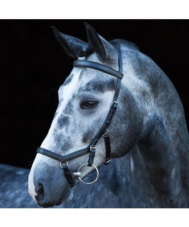 Ireland Rambo Micklem Competition Bridle Black L - Premium Quality Equestrian Gear for Global Shipping - Buy Online on SooperMarket.com