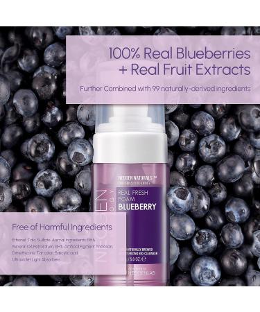 NEOGENLAB DERMALOGY Real Fresh Foam Cleanser Blueberry 5.6 Fl Oz - Hydrating Korean Skin Care - Buy Online on SooperMarket.com