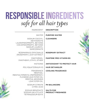 Buy Pantene Sulfate Free Shampoo - Rosemary Detangling Color Safe 9.6 oz | International Shipping - Buy Online on SooperMarket.com