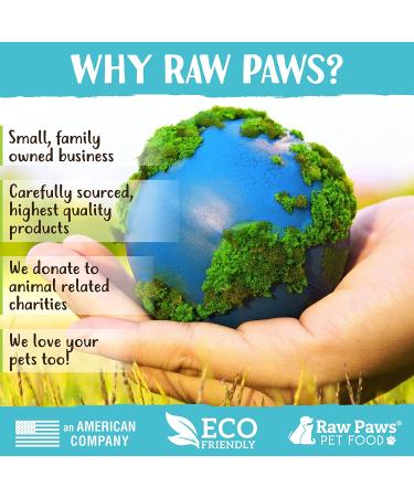 Raw Paws Catnip Lollipop (6-Pack) - Catnip Toys for Indoor Cats - Catnip Ball, Silvervine & Matatabi Stick for Cats - Buy Online on SooperMarket.com