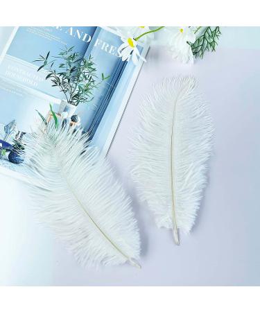 Piokio 20 pcs White Ostrich Feathers Plumes 10-12 inch | DIY Christmas & Wedding Party Decorations - Buy Online on SooperMarket.com