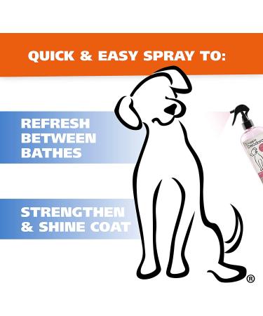Wahl Cornflower Aloe Pet Deodorant 8 oz - Refreshes & Deodorizes All Dogs - Clean Fresh Scent - Model 820009A - Buy Online on SooperMarket.com