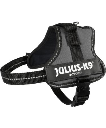 Buy K9 Powerharness XS/Mini-Mini in Anthracite | Premium Dog Harness for Comfortable International Shipping - Buy Online on SooperMarket.com