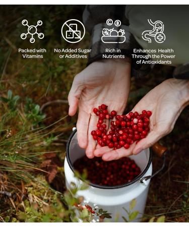 LOOV Organic Wild Cranberry Juice 500ml - Pure Fresh Cranberries, Polyphenols, No Added Sugar or Water - Wild-Crafted - Buy Online on SooperMarket.com