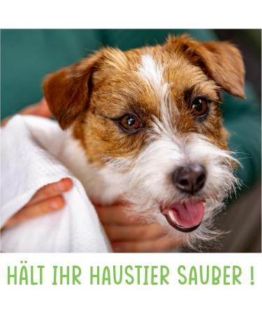 FIRSTPAW XXL Nursing Towels for Dogs - 100 Biodegradable Hypoallergenic Cleaning Cloths with Aloe Vera - Perfect for Eyes Ears & Paws - Buy Online on SooperMarket.com