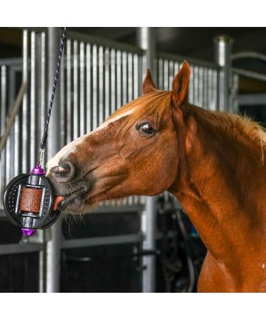Bizzy Ball Horse Toy Black | Bizzy Lick Holder Reduce Boredom in Horses | Innovative Design | Peppermint Essential Oil included | 847g - Buy Online on SooperMarket.com