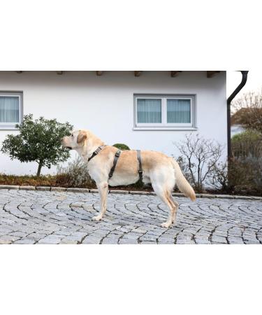 Kerbl 80044 Panic Harness Miami | Escape-proof Dog Harness | Grey 64-100cm | International Shipping Available - Buy Online on SooperMarket.com
