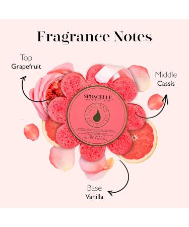 Spongelle Grapefruit Cassis Wild Flower Loofah Body Scrubber Exfoliating Bath & Shower Sponge for Women | 14+ Uses | Infused with Zesty Grapefruit Cassis & Vanilla - Buy Online on SooperMarket.com