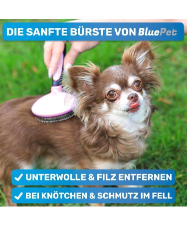 Bluepet Cat & Small Dog Brush | Gentle Undercoat Removal & Daily Fur Care - Mini Pink Rabbit Brush - Buy Online on SooperMarket.com