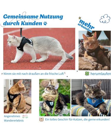 Soft Cat Vest with Leash & Supet Cat Dishes for Kittens & Small Dogs - Blue Size S (26-32 cm) - Ideal for Chihuahua & Pets - Buy Online on SooperMarket.com