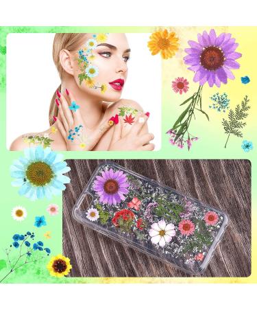 Dried Pressed Flower Leaves Set with Tweezers - 110 Assorted Natural Daisy Flowers for DIY Crafts & Decorations - Buy Online on SooperMarket.com