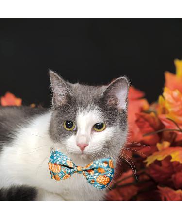 Fall Bow Tie Pumpkin Cat Collar Set with Bell | Autumn Thanksgiving Harvest Holiday Collar for Cats | Pumpkin Patch Design for Boys and Girls - Buy Online on SooperMarket.com