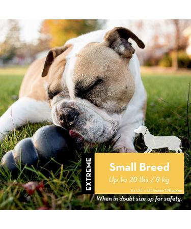 Kong Extreme Dog Toys - Durable Natural Rubber for Small Dogs | Chew Hunt & Retrieve - 1 Pack - Buy Online on SooperMarket.com