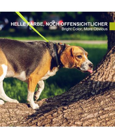 Toozey Waterproof Drag Line for Dogs - 3m 5m 7m 10m 15m 20m - Robust Leash with Hand Loop & Mains Bag - Perfect for All Dog Sizes - Neon Yellow - Buy Online on SooperMarket.com