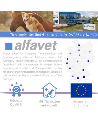 Alfavet Reconvales Antiphos - Kidney Support for Cats & Dogs | Nutritional Supplements with Phosphate Binders - 3 x 90ml Bottles - Buy Online on SooperMarket.com