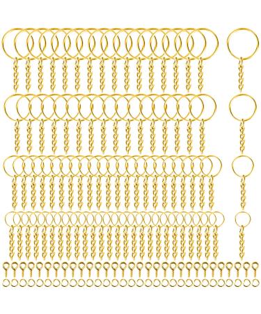 Key Ring with Chain  Shynek 360PCS Gold Keychain Rings with Jump Rings and Screw Eye Pins Bulk for Resin  DIY Crafts and Jewelry Making