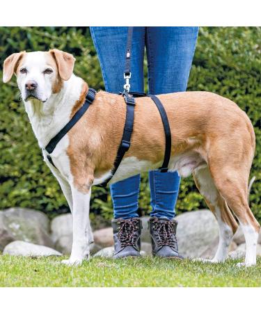 TRIXIE Stay Dog Harness - S/M Black | Comfortable & Durable Pet Safety Gear for Small to Medium Dogs | International Shipping Available - Buy Online on SooperMarket.com