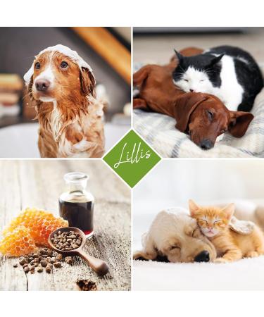 Lillis Naturals Dog Shampoo with Pump Cap - Eco-Friendly & Gentle Pet Care | Shop Internationally - Buy Online on SooperMarket.com